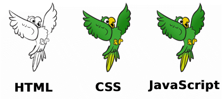different between html css and JavaScript